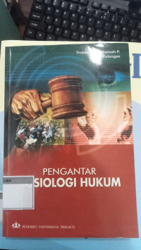 Image of Pengantar Sosiologi Hukum